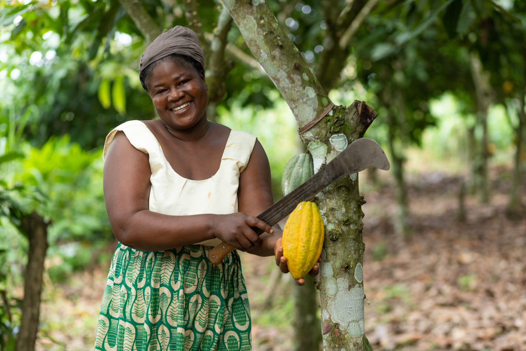 A smiling farmer harvesting coconut.