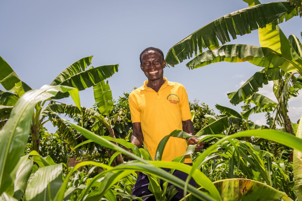 A smiling farmer standing near large leaves.