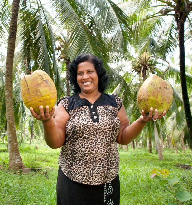 A smiling farmer holding coconuts.